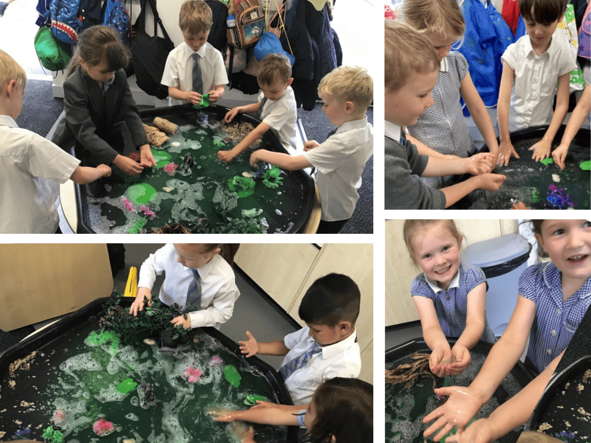 Pupils from Reception at Cheadle Hulme Primary School learn about the lifecycle of a frog after inspiring visit to Lower Moss Wood.